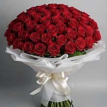 Букет 101 Красная роза Блэк Мэджик в Комсомольске Ивановской области