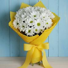 Букет цветов из:  Хризантемы #REPLACE_PRED# Комсомольске Ивановской области