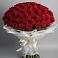 Букет 101 Красная роза Блэк Мэджик в Комсомольске Ивановской области