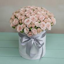 Цветочная композиция из Розы в шляпной коробке #REPLACE_PRED# Комсомольске Ивановской области