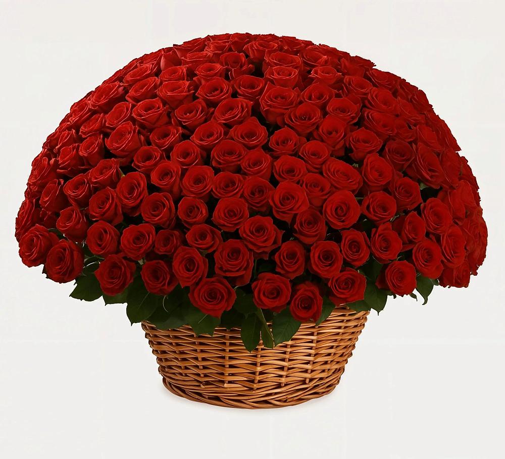 Премиум букет из: Розы в Комсомольске Ивановской области