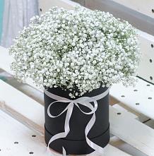 Цветочная композиция из Гипсофила в шляпной коробке #REPLACE_PRED# Комсомольске Ивановской области