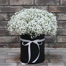 Цветочная композиция из Гипсофила в шляпной коробке в Комсомольске Ивановской области