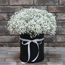 Цветочная композиция из Гипсофила в шляпной коробке в Комсомольске Ивановской области