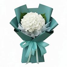 Букет цветов из:  Гортензия в Комсомольске Ивановской области